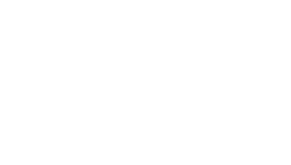 Filieri